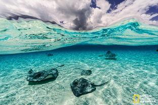 大海深处图片,大海深处的奇幻世界