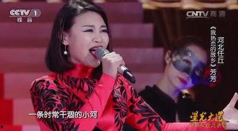 星光大道芳芳资料,从平凡走向舞台的璀璨之星